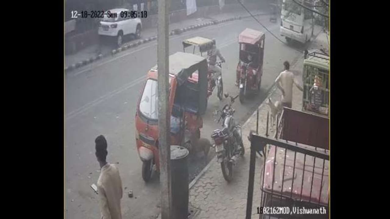 കാർ നിയന്ത്രണംവിട്ട് കുട്ടികൾക്ക് മുകളിലൂടെ കയറിയിറങ്ങി, ഞെട്ടിക്കുന്ന ദൃശ്യങ്ങൾ കാർ നിയന്ത്രണംവിട്ട് കുട്ടികൾക്ക് മുകളിലൂടെ കയറിയിറങ്ങി, ഞെട്ടിക്കുന്ന ദൃശ്യങ്ങൾ