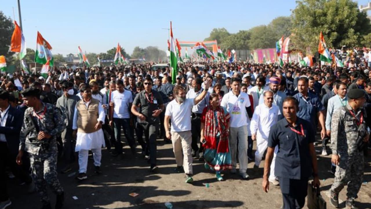 'വെറുപ്പിന്റെ ചന്തയിൽ ഞാന് സ്നേഹത്തിന്റെ കട തുറക്കുകയാണ് ' രാഹുല്ഗാന്ധി 'വെറുപ്പിന്റെ ചന്തയിൽ ഞാന് സ്നേഹത്തിന്റെ കട തുറക്കുകയാണ് ' രാഹുല്ഗാന്ധി