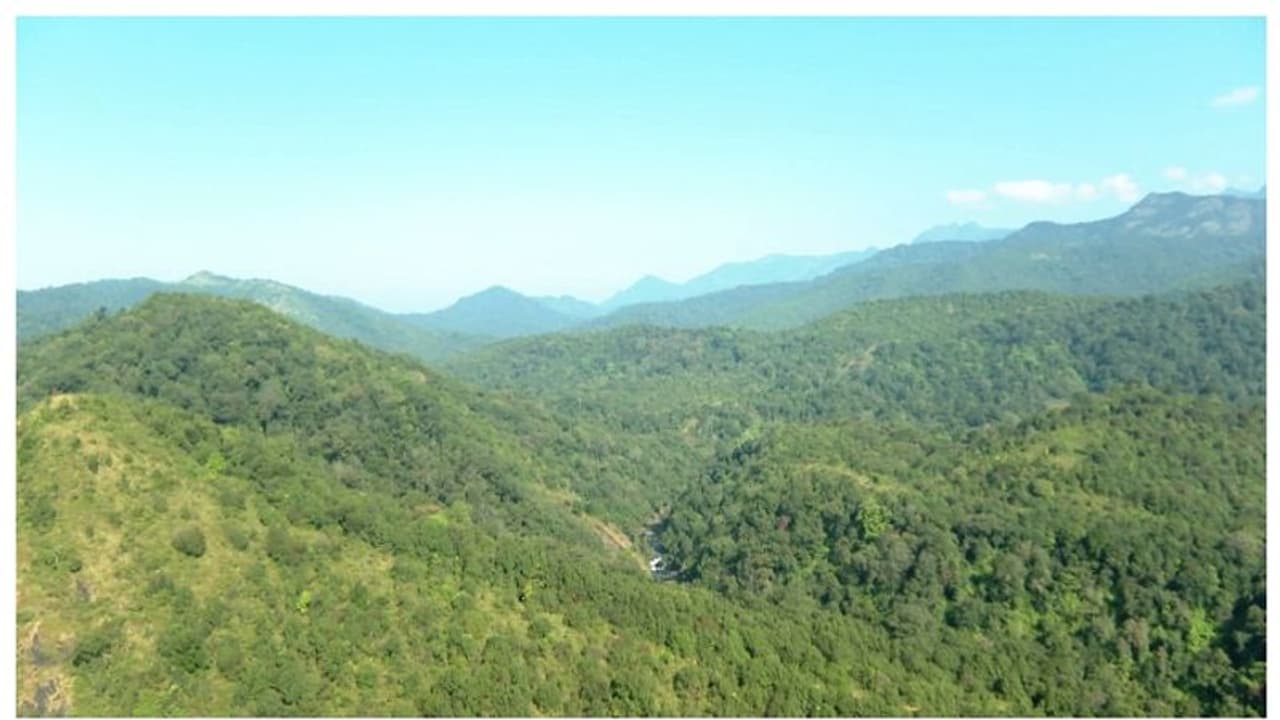 ബഫർ സോൺ : 'ആരെയും കുടിയിറക്കില്ല, കൃഷി വിലക്കില്ല'; വിശദീകരിച്ച് കേന്ദ്ര വനം പരിസ്ഥിതി മന്ത്രായലം 