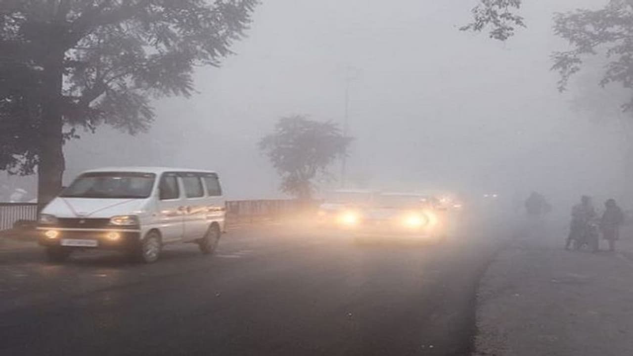 UP में दो दिनों तक रहेगा घना कोहरा, जानिए किन जिलों में मौसम विभाग ने जारी किया ऑरेंज और येलो अलर्ट