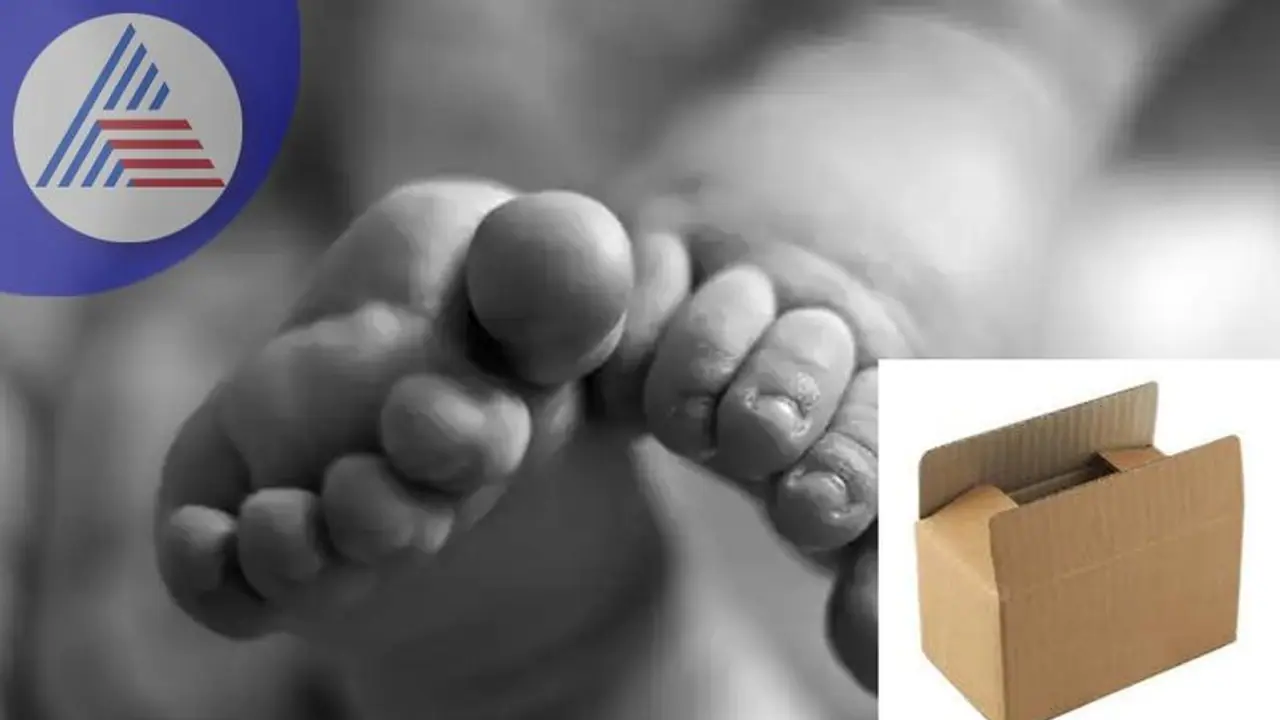 Uttara Kannada: ಸಿದ್ದಾಪುರ ರಸ್ತೆಬದಿ ರಟ್ಟಿನ ಬಾಕ್ಸ್‌ನಲ್ಲಿ ನವಜಾತ ಗಂಡು ಶಿಶು ಪತ್ತೆ