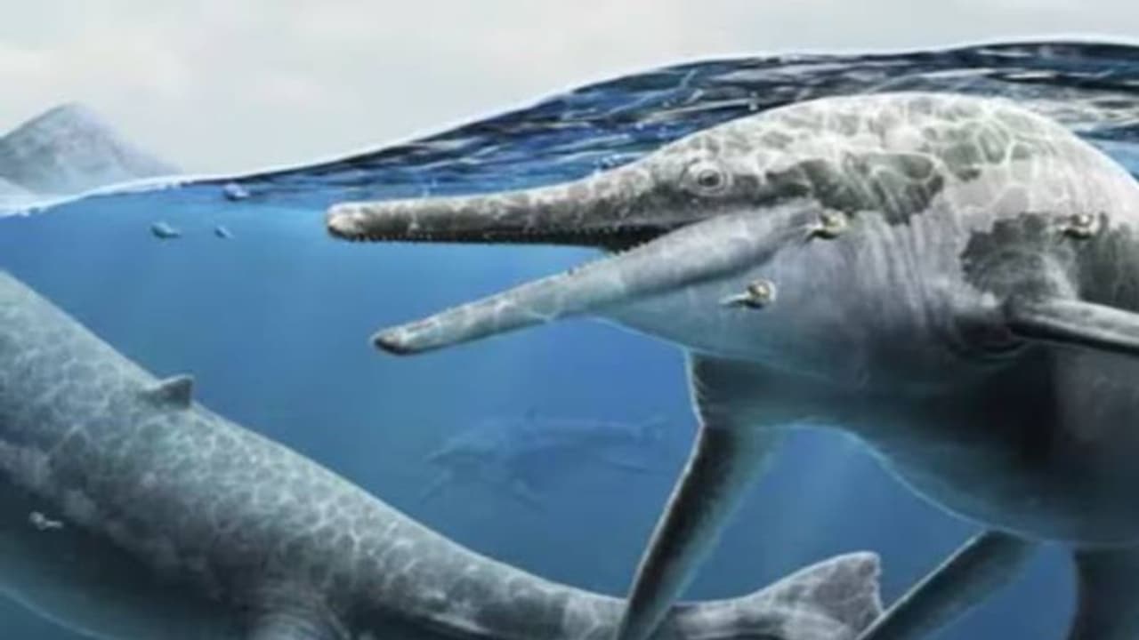 230 ദശലക്ഷത്തിലധികം വർഷം പഴക്കമുള്ള ജീവികളുടെ 'പ്രസവ വാർഡ്', പുതിയ കണ്ടെത്തലുമായി ശാസ്ത്രജ്ഞർ 230 ദശലക്ഷത്തിലധികം വർഷം പഴക്കമുള്ള ജീവികളുടെ 'പ്രസവ വാർഡ്', പുതിയ കണ്ടെത്തലുമായി ശാസ്ത്രജ്ഞർ