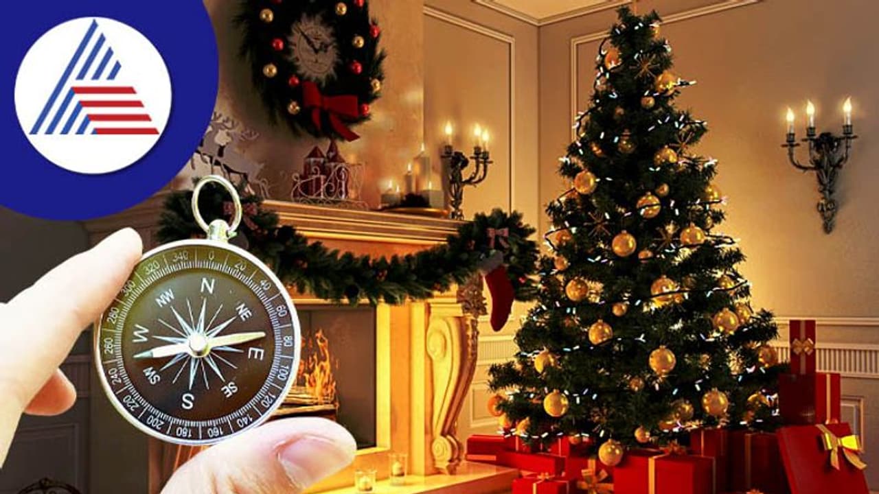 Christmas Tree Vastu Tips: ಕ್ರಿಸ್ಮಸ್ ಮರವನ್ನು ಹೀಗೆ ಅಲಂಕರಿಸಿದ್ರೆ ಕುಟುಂಬದಲ್ಲಿ ಹೆಚ್ಚುತ್ತೆ ಪ್ರೀತಿ Christmas Tree Vastu Tips: ಕ್ರಿಸ್ಮಸ್ ಮರವನ್ನು ಹೀಗೆ ಅಲಂಕರಿಸಿದ್ರೆ ಕುಟುಂಬದಲ್ಲಿ ಹೆಚ್ಚುತ್ತೆ ಪ್ರೀತಿ