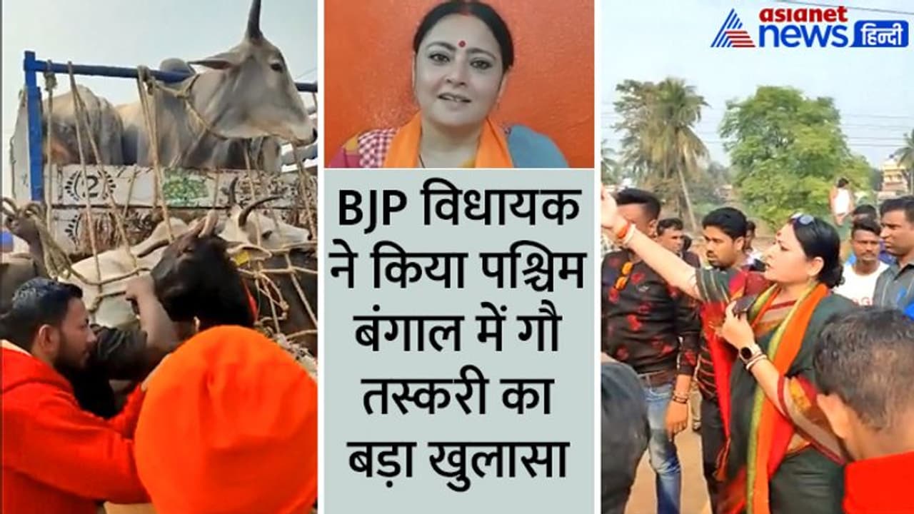 पश्चिम बंगाल: BJP विधायक ने बांग्लादेश तस्करी हो रहे गायों से भरा ट्रक पकड़ा, आखिर पुलिस ने रोका क्यों नहीं? पश्चिम बंगाल: BJP विधायक ने बांग्लादेश तस्करी हो रहे गायों से भरा ट्रक पकड़ा, आखिर पुलिस ने रोका क्यों नहीं?