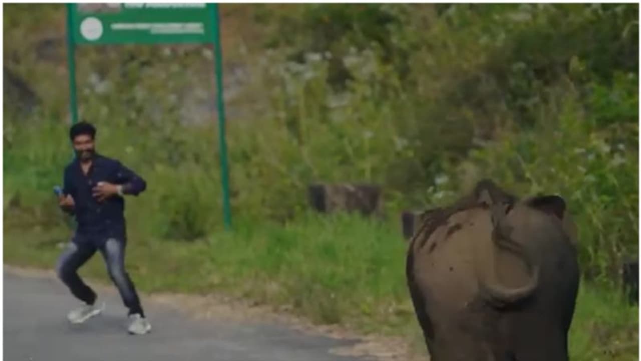 വനംവകുപ്പിന്റെ നിര്ദ്ദേശങ്ങള്ക്ക് പുല്ലുവില; ആനക്കുട്ടിയുടെ ഫോട്ടെയെടുക്കാന് തിരക്ക്, പാഞ്ഞടുത്ത് കാട്ടാന വനംവകുപ്പിന്റെ നിര്ദ്ദേശങ്ങള്ക്ക് പുല്ലുവില; ആനക്കുട്ടിയുടെ ഫോട്ടെയെടുക്കാന് തിരക്ക്, പാഞ്ഞടുത്ത് കാട്ടാന