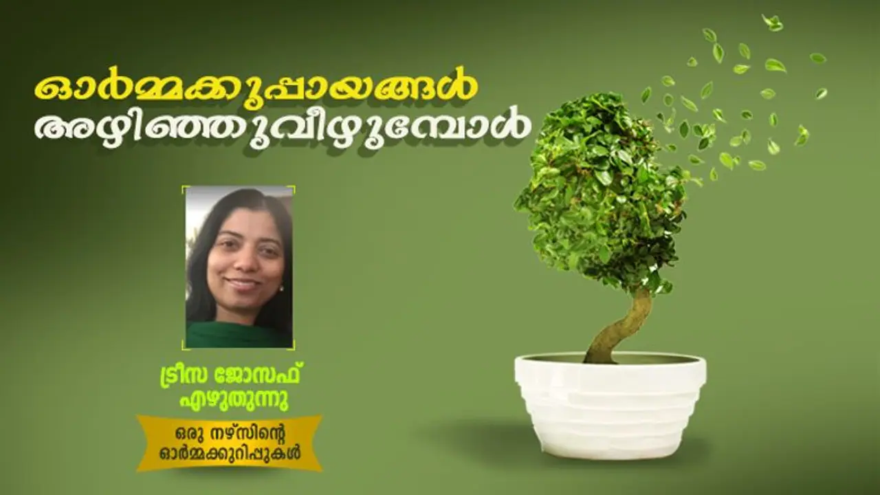 അടര്‍ന്നുവീഴുന്ന ഓര്‍മ്മകള്‍, അല്‍ഷിമേഴ്‌സ് മറവിയിലേക്ക് നമ്മെ മൂടിക്കളയുന്നത് ഇങ്ങനെയാണ്