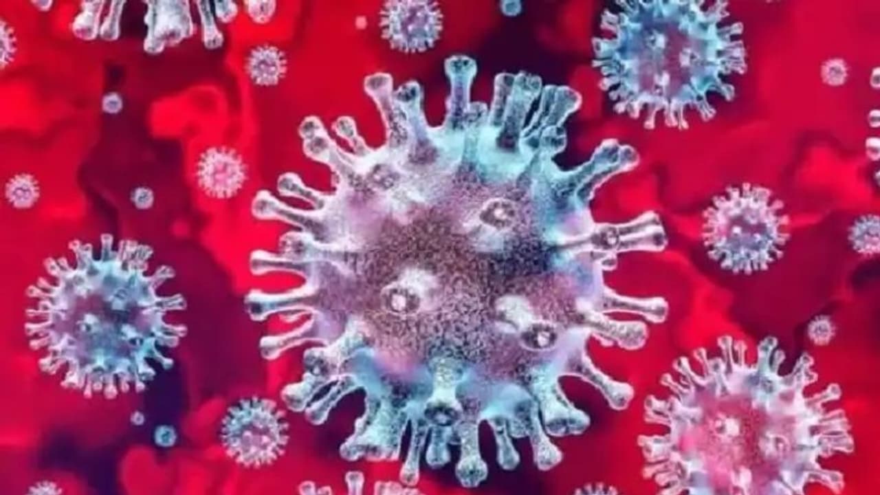 कोरोना को लेकर योगी सरकार का बड़ा फैसला, विदेश यात्रा से लौटे यात्रियों का होगा कोविड टेस्ट कोरोना को लेकर योगी सरकार का बड़ा फैसला, विदेश यात्रा से लौटे यात्रियों का होगा कोविड टेस्ट