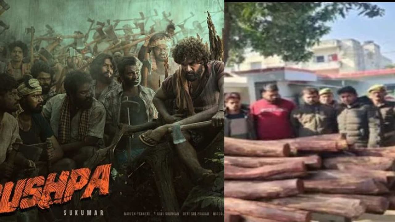 'പുഷ്പ' മോഡലില്‍ ചന്ദനക്കടത്ത്; രണ്ടു കോടിയുടെ രക്തചന്ദനവുമായി ഏഴംഗ സംഘം പിടിയില്‍