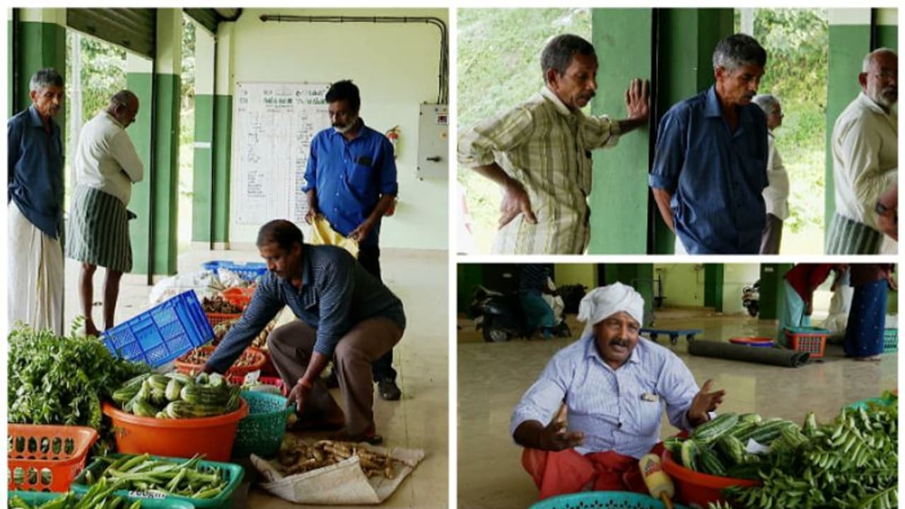 കർഷകരെ വീണ്ടും വീണ്ടും പറ്റിച്ച് ഹോർട്ടികോർപ്പ്, നെടുമങ്ങാട്ടെ കർഷകർക്ക് മാത്രം നൽകാനുള്ളത് 90ലക്ഷം രൂപ കർഷകരെ വീണ്ടും വീണ്ടും പറ്റിച്ച് ഹോർട്ടികോർപ്പ്, നെടുമങ്ങാട്ടെ കർഷകർക്ക് മാത്രം നൽകാനുള്ളത് 90ലക്ഷം രൂപ