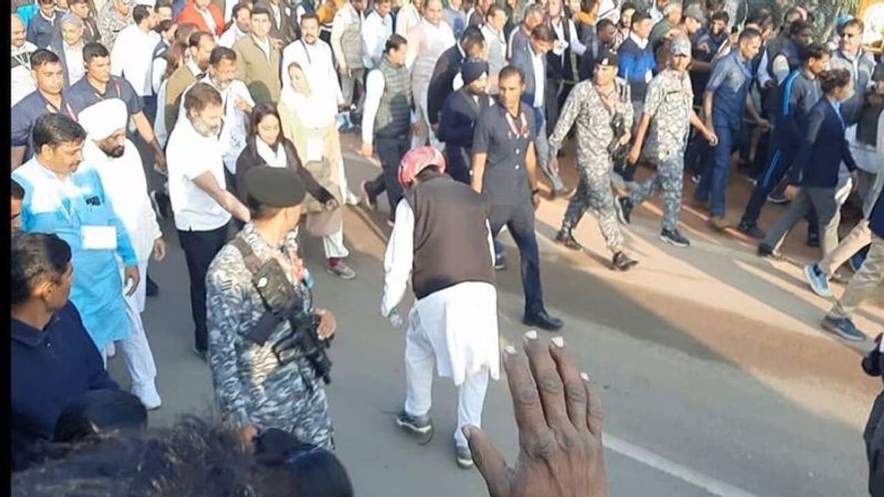 రాహుల్ గాంధీ షూ లేస్ కట్టిన కేంద్ర మాజీ మంత్రి ? వీడియో ట్వీట్ చేసిన అమిత్ మాలవీయ.. అసలేం జరిగిందంటే ?