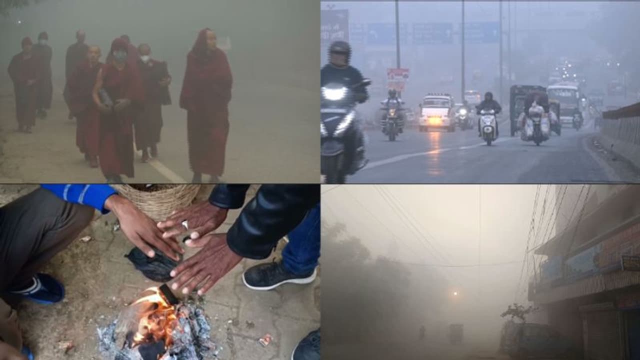 ഉത്തരേന്ത്യയിൽ അതിശൈത്യം; മൂടൽമഞ്ഞ് ശക്തം, ദില്ലിയിൽ താപനില 5 ഡിഗ്രിയായി താഴുമെന്ന് മുന്നറിയിപ്പ് ഉത്തരേന്ത്യയിൽ അതിശൈത്യം; മൂടൽമഞ്ഞ് ശക്തം, ദില്ലിയിൽ താപനില 5 ഡിഗ്രിയായി താഴുമെന്ന് മുന്നറിയിപ്പ്