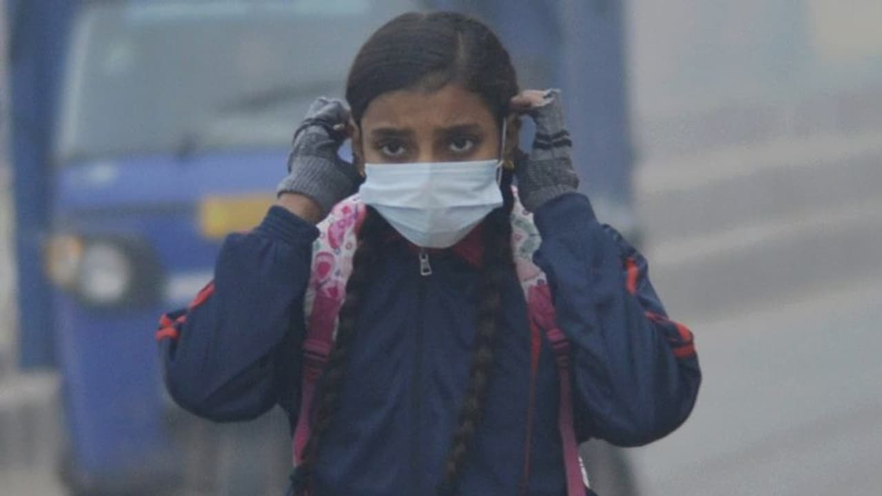 भारत में कोरोना नहीं ढा सकता चीन जैसा कहर, टीकाकरण और हर्ड इम्यूनिटी समेत ये हैं तीन मुख्य वजह भारत में कोरोना नहीं ढा सकता चीन जैसा कहर, टीकाकरण और हर्ड इम्यूनिटी समेत ये हैं तीन मुख्य वजह