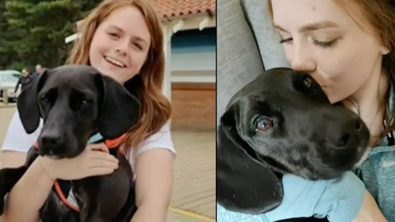 ಅಮೆರಿಕಾಗೆ ತೆರಳಬೇಕಾದ ಶ್ವಾನವನ್ನು ಸೌದಿಗೆ ಕಳಿಸಿದ ಬ್ರಿಟಿಷ್ ಏರ್‌ವೇಸ್