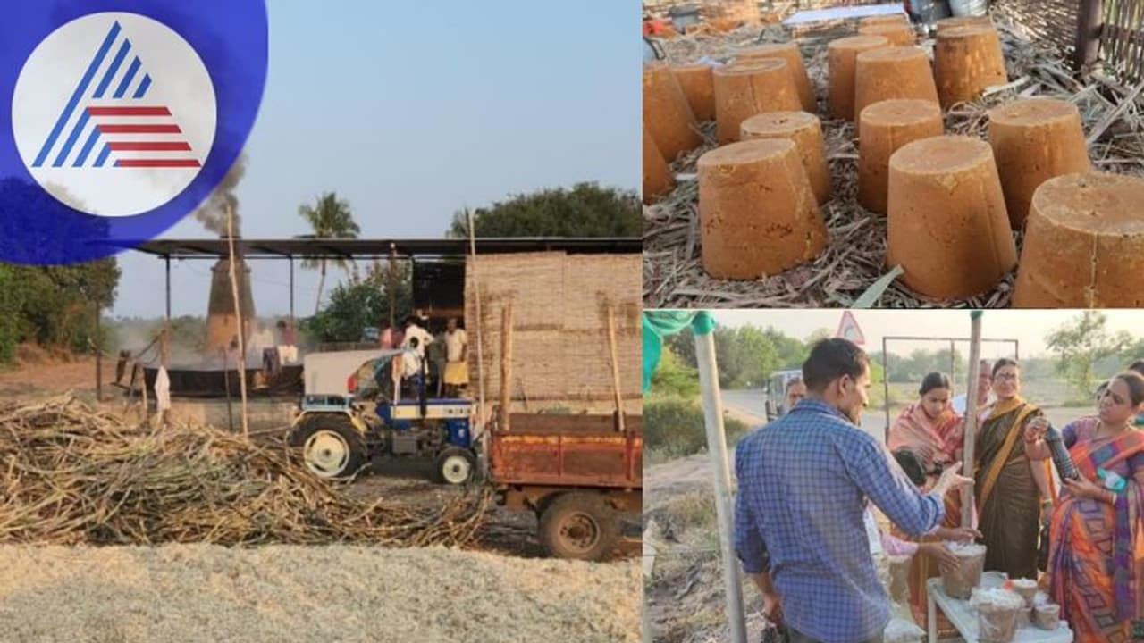 ವಿಜಯಪುರದಲ್ಲಿದೆ ಕೆಮಿಕಲ್ ರಹಿತ ಅಪರೂಪದ ಆಲೆಮನೆ: ಆರೋಗ್ಯ ವೃದ್ಧಿಗೆ ಸಹಕಾರಿ ವಿಜಯಪುರದಲ್ಲಿದೆ ಕೆಮಿಕಲ್ ರಹಿತ ಅಪರೂಪದ ಆಲೆಮನೆ: ಆರೋಗ್ಯ ವೃದ್ಧಿಗೆ ಸಹಕಾರಿ