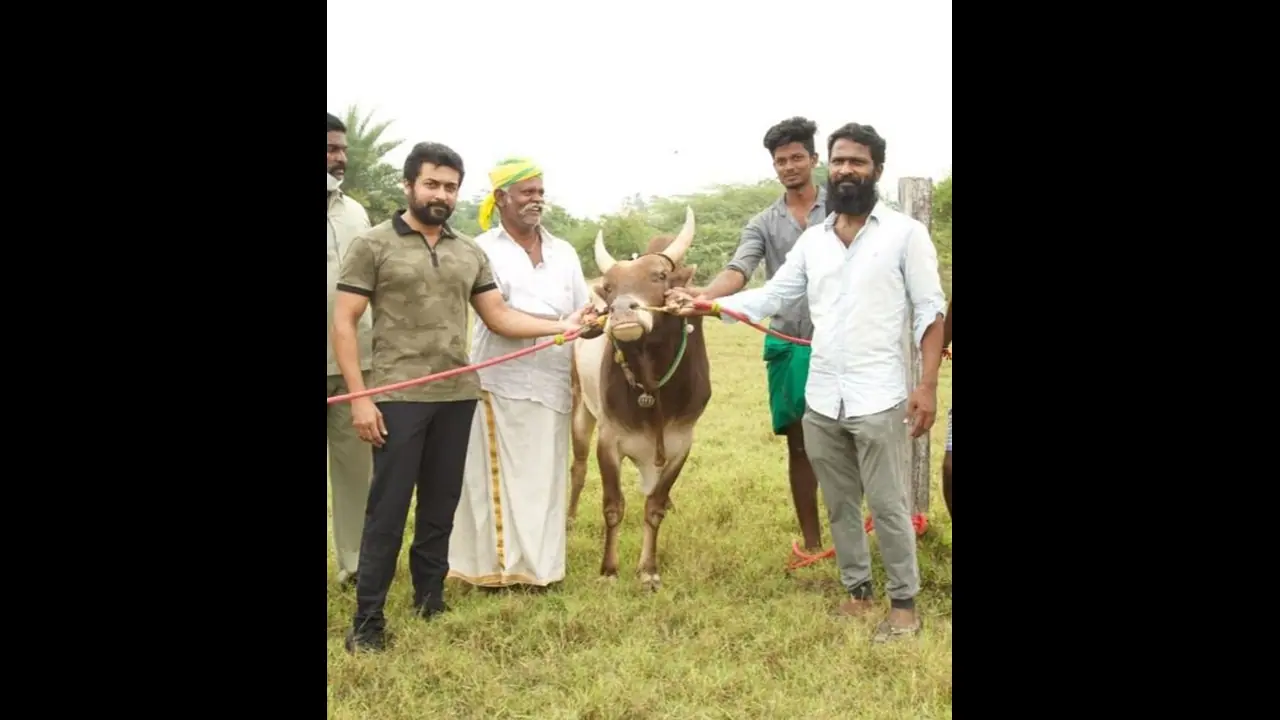 ഏറെ പ്രതീക്ഷയോടെ കാത്തിരുന്ന വെട്രിമാരന്‍റെ 'വാടിവാസല്‍' സിനിമയില്‍ നിന്നും സൂര്യ പുറത്തോ.!