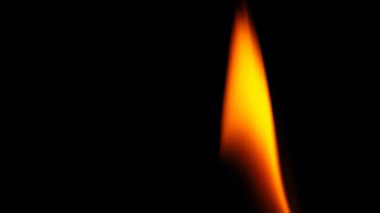 Tumakur : ಬೆಂಕಿ ಬೀಳುವ ಭೀತಿಯಲ್ಲಿ ಜಿಲ್ಲೆಯ ಕಾಡು! Tumakur : ಬೆಂಕಿ ಬೀಳುವ ಭೀತಿಯಲ್ಲಿ ಜಿಲ್ಲೆಯ ಕಾಡು!