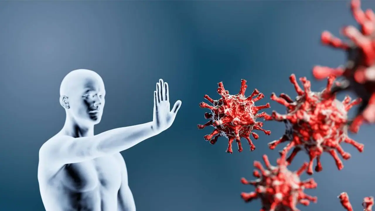 രോഗപ്രതിരോധ സംവിധാനത്തെ ആരോഗ്യകരമായി നിലനിർത്താൻ വേണ്ട ആറ് പോഷകങ്ങൾ 