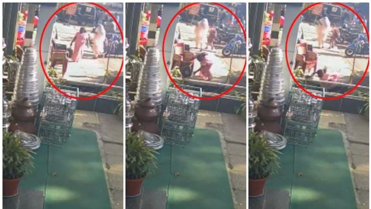 ഫുട്പാത്തില് തട്ടി എട്ടടി താഴ്ചയുളള കാനയിലേക്ക് വീണു; വീട്ടമ്മയ്ക്ക് നട്ടെല്ലിന് പരിക്കേറ്റു ഫുട്പാത്തില് തട്ടി എട്ടടി താഴ്ചയുളള കാനയിലേക്ക് വീണു; വീട്ടമ്മയ്ക്ക് നട്ടെല്ലിന് പരിക്കേറ്റു