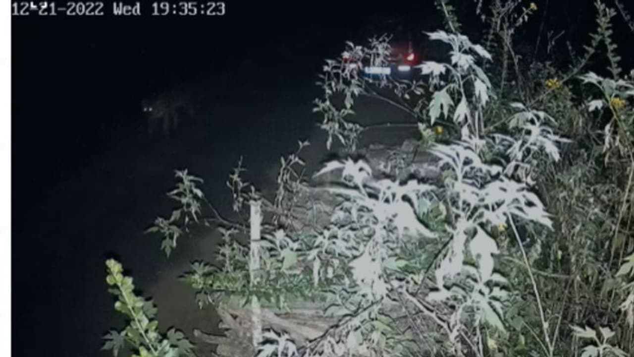 വയനാട്ടില് വീണ്ടും കടുവയിറങ്ങി; നടുറോഡിലൂടെ നടന്ന് പോകുന്ന ദൃശ്യം സിസിടിവിയില്, ഭീതിയോടെ നാട്ടുകാര് വയനാട്ടില് വീണ്ടും കടുവയിറങ്ങി; നടുറോഡിലൂടെ നടന്ന് പോകുന്ന ദൃശ്യം സിസിടിവിയില്, ഭീതിയോടെ നാട്ടുകാര്