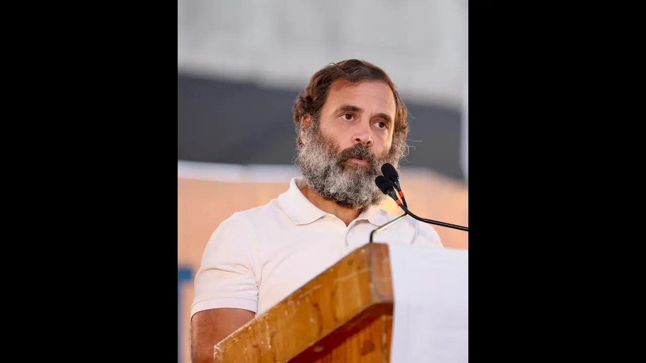 Rahul Gandhi Yatra: ஆர்எஸ்எஸ்,பாஜக வெறுப்பை பரப்புகின்றன:ராகுல் காந்தி தாக்கு!டெல்லி வந்த பாரத் ஜோடோ யாத்திரை 