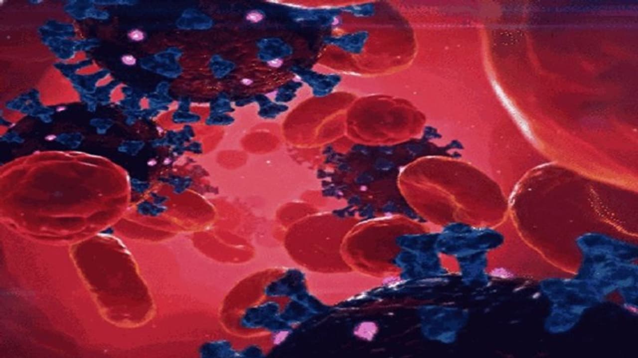 குஜராத்தில் XBB.1.5 என்ற புதிய வகை கொரோனா... அலர்ட்டான குஜராத் சுகாதாரத்துறை அதிகாரிகள்!!