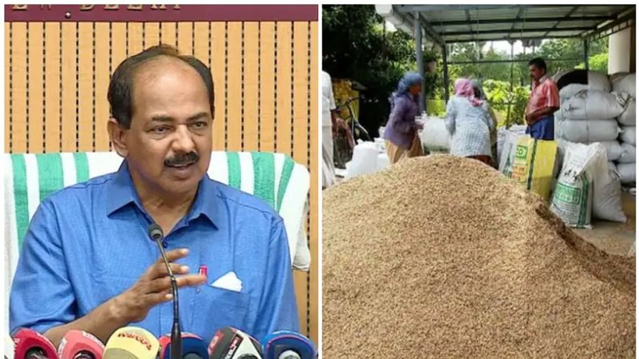 നെല് കർഷകർക്ക് ആശ്വാസം; നെല്ല് സംഭരണ വില നല്കുന്നതിന് 272 കോടി രൂപ അനുവദിച്ചു നെല് കർഷകർക്ക് ആശ്വാസം; നെല്ല് സംഭരണ വില നല്കുന്നതിന് 272 കോടി രൂപ അനുവദിച്ചു