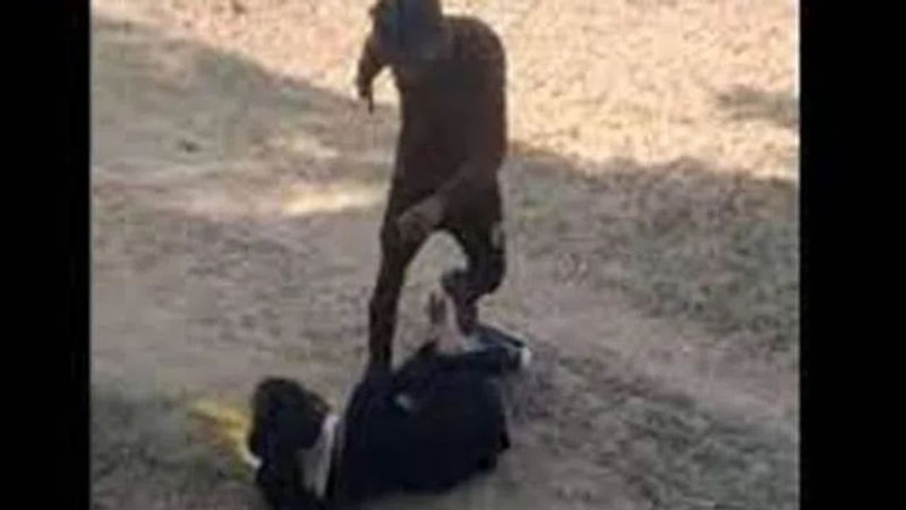 దారుణం.. యువతిని కిందపడేసి.. ముఖంపై తన్నిన కిరాతకుడు.. నెట్టింట్లో వీడియో వైరల్ దారుణం.. యువతిని కిందపడేసి.. ముఖంపై తన్నిన కిరాతకుడు.. నెట్టింట్లో వీడియో వైరల్