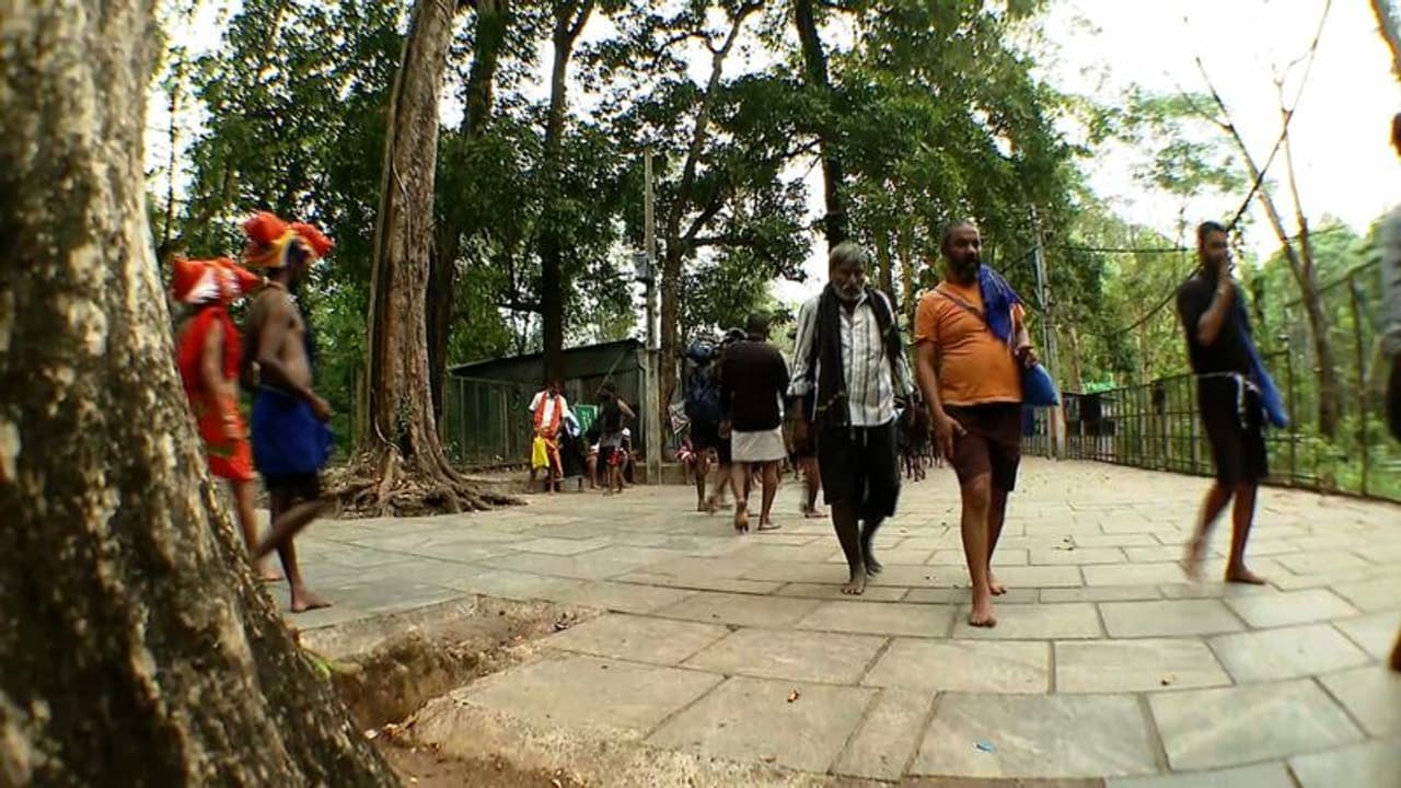 ശബരിമല: പരമ്പരാഗത പാതയിൽ വിശ്വാസികൾക്ക് ഏർപ്പെടുത്തിയ നിയന്ത്രണം പിൻവലിച്ചു ശബരിമല: പരമ്പരാഗത പാതയിൽ വിശ്വാസികൾക്ക് ഏർപ്പെടുത്തിയ നിയന്ത്രണം പിൻവലിച്ചു