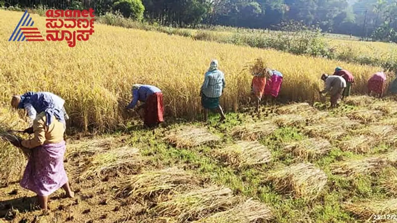 ಹೊಸ ವರ್ಷಕ್ಕೆ ಅನ್ನದಾತರಿಗೆ ಶಾಕ್ ಕೊಟ್ಟ ಬೊಮ್ಮಾಯಿ ಸರ್ಕಾರ..! ಹೊಸ ವರ್ಷಕ್ಕೆ ಅನ್ನದಾತರಿಗೆ ಶಾಕ್ ಕೊಟ್ಟ ಬೊಮ್ಮಾಯಿ ಸರ್ಕಾರ..!