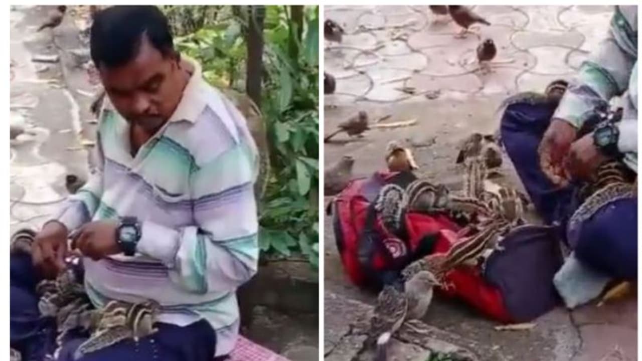 'ഹാ, എത്ര മനോഹരമീ കാഴ്ച' ; അണ്ണാനും പക്ഷികൾക്കും ഭക്ഷണം നൽകുന്ന യുവാവ് ; വീഡിയോ കാണാം