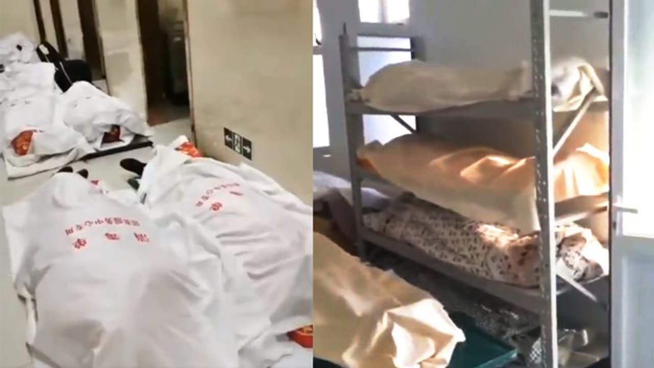 लाशों से पटा चीन, गोदामों में रखी जा रहीं डेडबॉडी; इन 7 प्रांतों में हो रहीं सबसे ज्यादा मौतें लाशों से पटा चीन, गोदामों में रखी जा रहीं डेडबॉडी; इन 7 प्रांतों में हो रहीं सबसे ज्यादा मौतें
