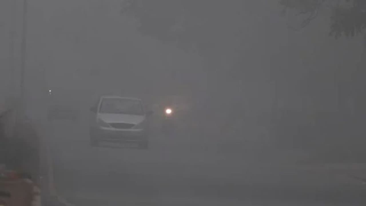 IMD issues yellow alert in Delhi as cold wave conditions to continue; check details