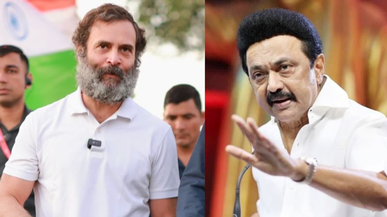 രാഹുലിന്റെ പ്രസംഗം പ്രകമ്പനം കൊള്ളിക്കുന്നു, ഗോഡ്സേയുടെ പിന്മുറക്കാര് അസന്തുഷ്ടരാകും; സ്റ്റാലിന് രാഹുലിന്റെ പ്രസംഗം പ്രകമ്പനം കൊള്ളിക്കുന്നു, ഗോഡ്സേയുടെ പിന്മുറക്കാര് അസന്തുഷ്ടരാകും; സ്റ്റാലിന്