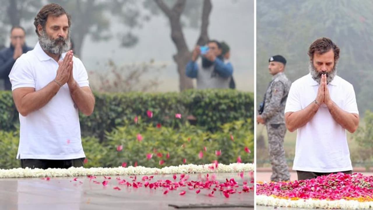 भारत जोड़ो यात्रा से ब्रेक लेकर अटलजी को श्रद्धांजलि देने पहुंचे राहुल गांधी, BJP ने उठाया बड़ा सवाल भारत जोड़ो यात्रा से ब्रेक लेकर अटलजी को श्रद्धांजलि देने पहुंचे राहुल गांधी, BJP ने उठाया बड़ा सवाल