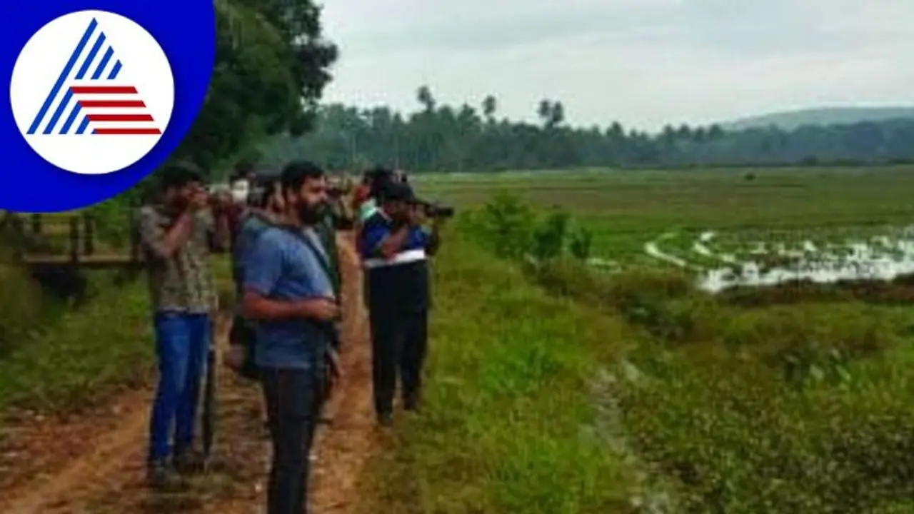 ಉಡುಪಿ: ಕರಾವಳಿಯಲ್ಲಿ ಪಕ್ಷಿಗಳ ಕಲರವ ಪಕ್ಷಿ ವೀಕ್ಷಣೆಗೆ ಇದು ಸಕಾಲ ಉಡುಪಿ: ಕರಾವಳಿಯಲ್ಲಿ ಪಕ್ಷಿಗಳ ಕಲರವ ಪಕ್ಷಿ ವೀಕ್ಷಣೆಗೆ ಇದು ಸಕಾಲ