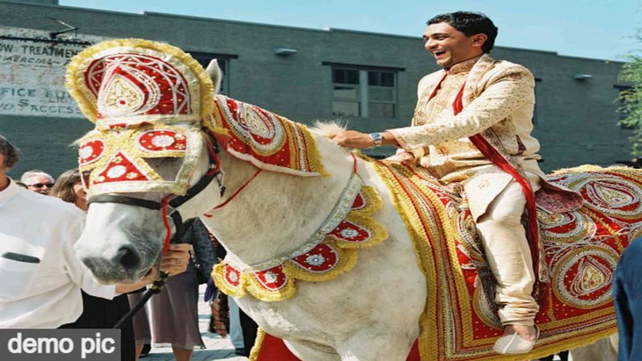 दूल्हों के लिए यहां रखी गई अनोखी शर्त, समाज ने कहा अगर नहीं मानी बात तो लौटा दी जाएगी बारात दूल्हों के लिए यहां रखी गई अनोखी शर्त, समाज ने कहा अगर नहीं मानी बात तो लौटा दी जाएगी बारात