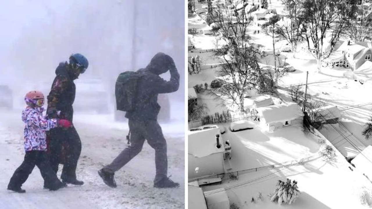 அமெரிக்காவை புரட்டிப்போட்ட பாம் சூறாவளி.. பொதுமக்களை மிரட்டும் கடுங்குளிர்! என்ன தான் நடக்கிறது ? அமெரிக்காவை புரட்டிப்போட்ட பாம் சூறாவளி.. பொதுமக்களை மிரட்டும் கடுங்குளிர்! என்ன தான் நடக்கிறது ?