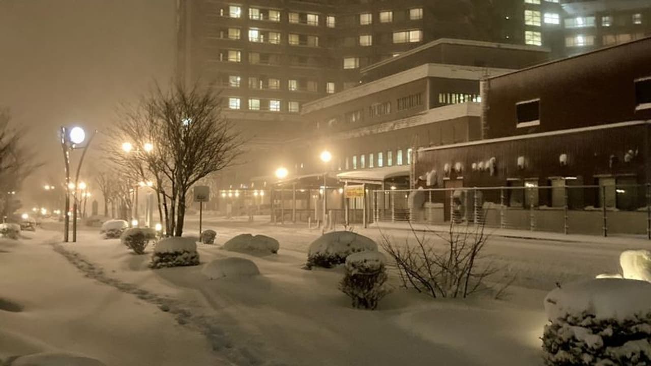 జ‌పాన్ ను ముంచెత్తిన మంచు తుఫాను: 17 మంది మృతి, 90 మందికి గాయాలు 