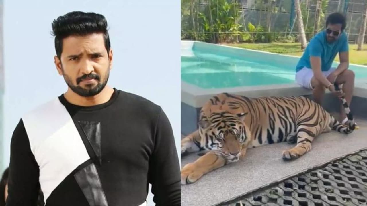 'ഇത് പുലിവാല് ആയല്ലോ'; കടുവയെ കളിപ്പിക്കുന്ന വീഡിയോ പങ്കുവച്ച് സന്താനം; വിമര്ശനം 'ഇത് പുലിവാല് ആയല്ലോ'; കടുവയെ കളിപ്പിക്കുന്ന വീഡിയോ പങ്കുവച്ച് സന്താനം; വിമര്ശനം