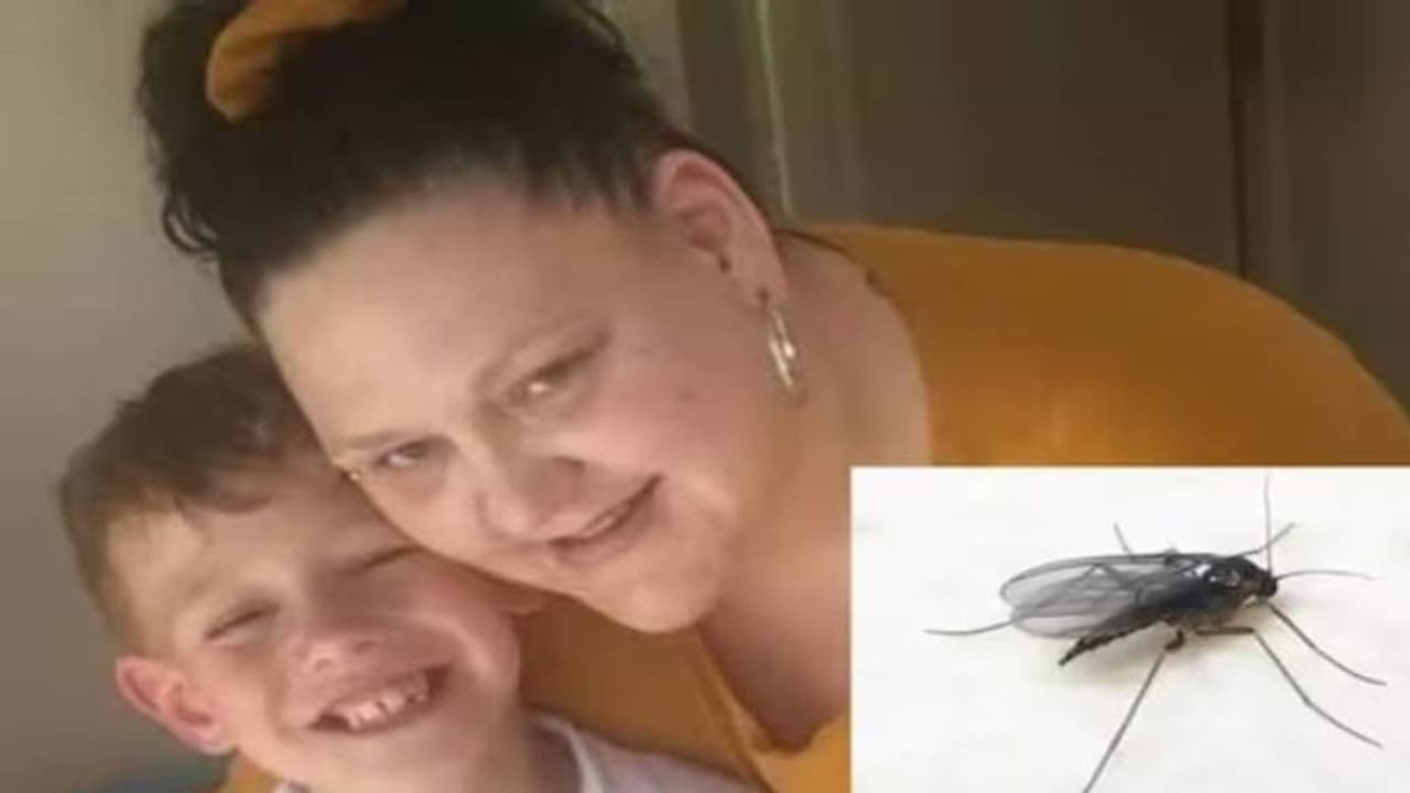 ചെറുപ്രാണിയുടെ കടിയേറ്റു, കാൽ മുറിച്ചുമാറ്റേണ്ടുന്ന അവസ്ഥ വരെയെത്തി, യുവതി 13 വർഷം സഹിച്ചത് കൊടുംവേദന