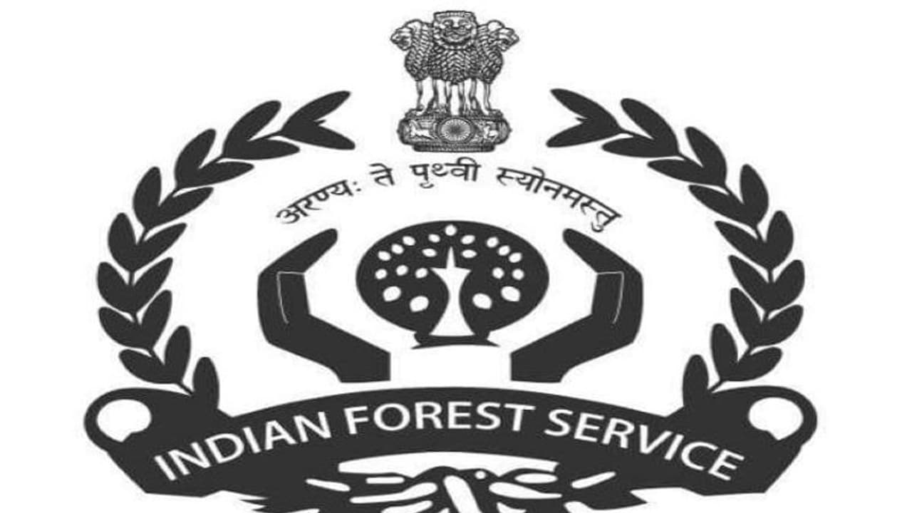 UPSC ने जारी किया भारतीय वन सेवा की मुख्य परीक्षा का परिणाम, 5 स्टेप्स में समझिए कैसे डाउनलोड होगा रिजल्ट UPSC ने जारी किया भारतीय वन सेवा की मुख्य परीक्षा का परिणाम, 5 स्टेप्स में समझिए कैसे डाउनलोड होगा रिजल्ट