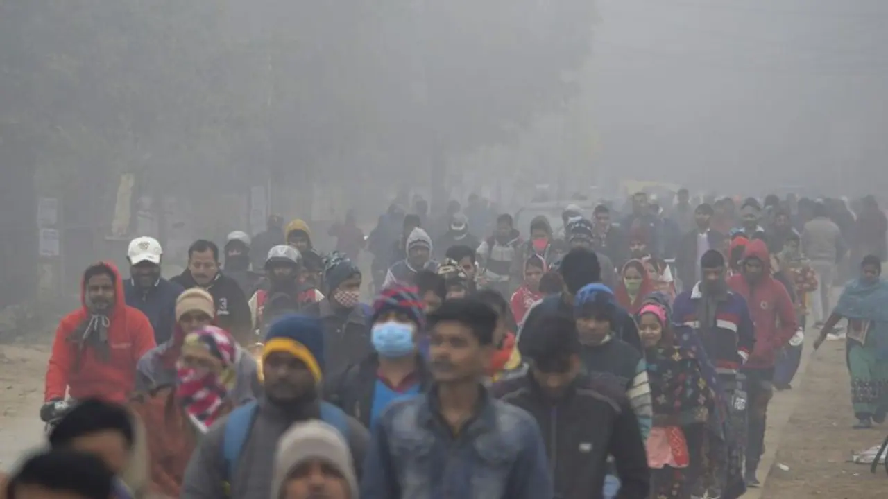 North India may get brief relief from extreme weather, fresh cold wave likely from Jan 1 North India may get brief relief from extreme weather, fresh cold wave likely from Jan 1