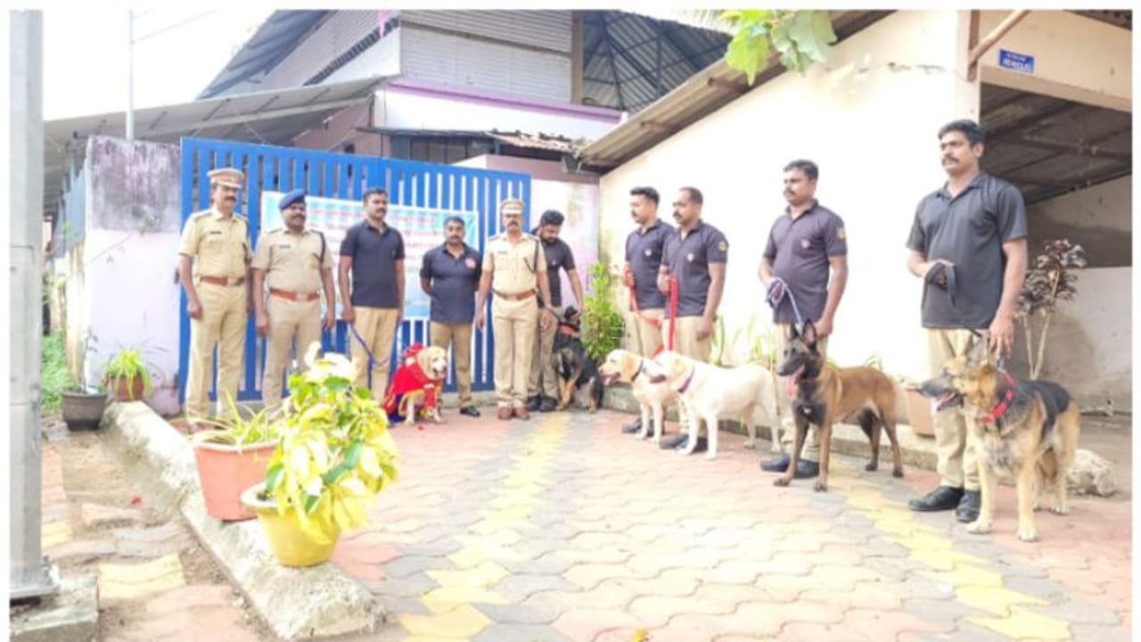 ഒൻപത് വർഷത്തെ സേവനം; പൊലീസ് നായ ലിഡോക്ക് ഇനി വിശ്രാന്തിയിൽ വിശ്രമജീവിതം ഒൻപത് വർഷത്തെ സേവനം; പൊലീസ് നായ ലിഡോക്ക് ഇനി വിശ്രാന്തിയിൽ വിശ്രമജീവിതം