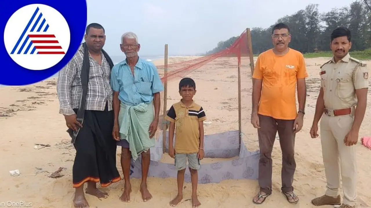 Udupi: ಕೋಡಿಯಲ್ಲಿ ಕಡಲಾಮೆಯ ಮೊಟ್ಟೆಗಳ ರಕ್ಷಣೆಗೆ ವ್ಯಾಪಕ ಪ್ರಶಂಸೆ