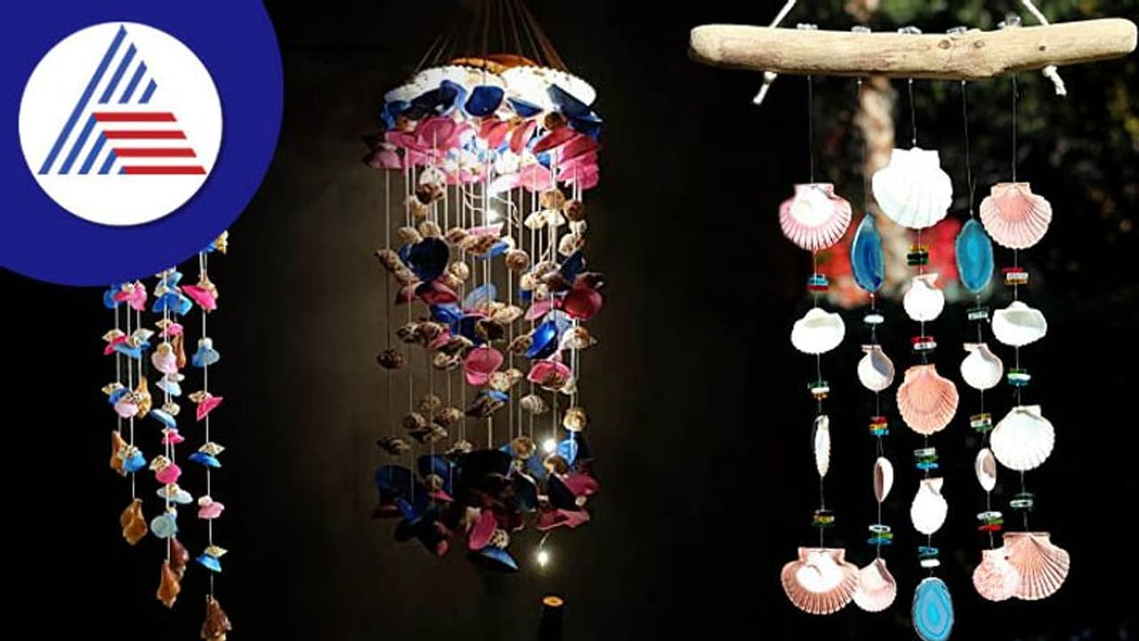 ಸಣ್ಣ ಸೌಂಡ್ ಬರುತ್ತಿದ್ದರೆ ಕೇಳಲೂ ಇಂಪು, ಮನೆಗೂ ಕಂಪು ಈ ವಿಂಡ್ ಬೆಲ್! ಸಣ್ಣ ಸೌಂಡ್ ಬರುತ್ತಿದ್ದರೆ ಕೇಳಲೂ ಇಂಪು, ಮನೆಗೂ ಕಂಪು ಈ ವಿಂಡ್ ಬೆಲ್!