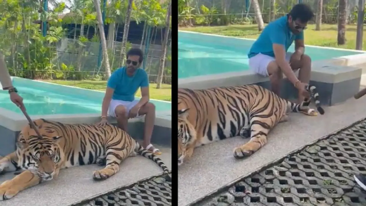 புலி வாலை பிடித்தபடி வீடியோ போட்டு சர்ச்சையில் சிக்கிய சந்தானம்... புரட்டி எடுக்கும் நெட்டிசன்கள்