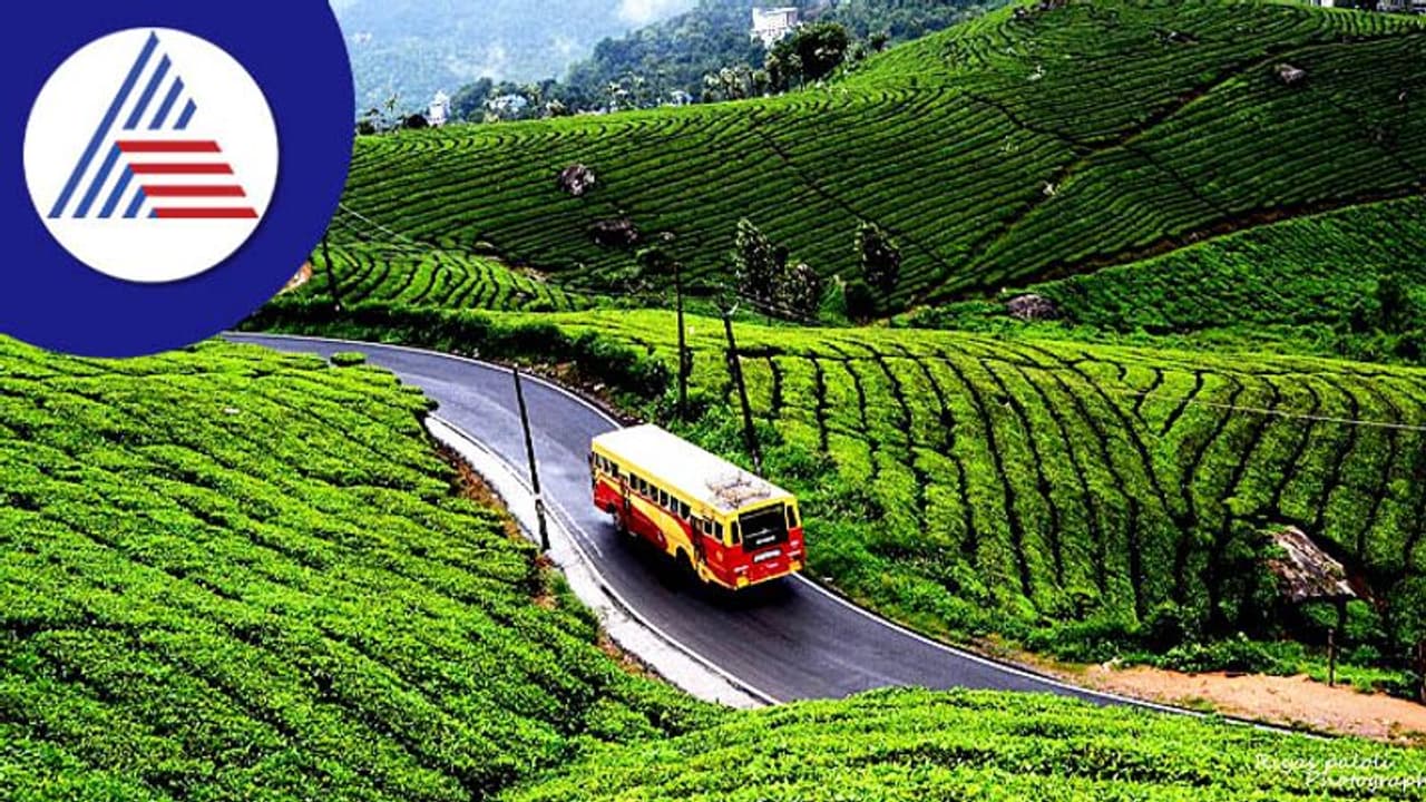 Travel Tips: ಗಿರಿಧಾಮದ ಪ್ರವಾಸದಲ್ಲಿ ಹಣ, ಸಮಯ ಎರಡೂ ಉಳಿಬೇಕಾ? 