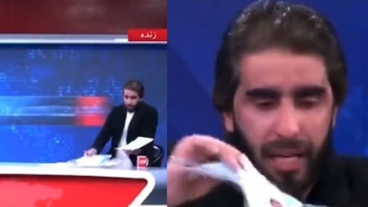 പ്രതിഷേധം; തന്റെ സര്ട്ടിഫിക്കറ്റുകള് ലൈവായി ടിവിയില് കീറിഎറിഞ്ഞ് കാബൂൾ യൂണിവേഴ്സിറ്റി പ്രൊഫസർ പ്രതിഷേധം; തന്റെ സര്ട്ടിഫിക്കറ്റുകള് ലൈവായി ടിവിയില് കീറിഎറിഞ്ഞ് കാബൂൾ യൂണിവേഴ്സിറ്റി പ്രൊഫസർ