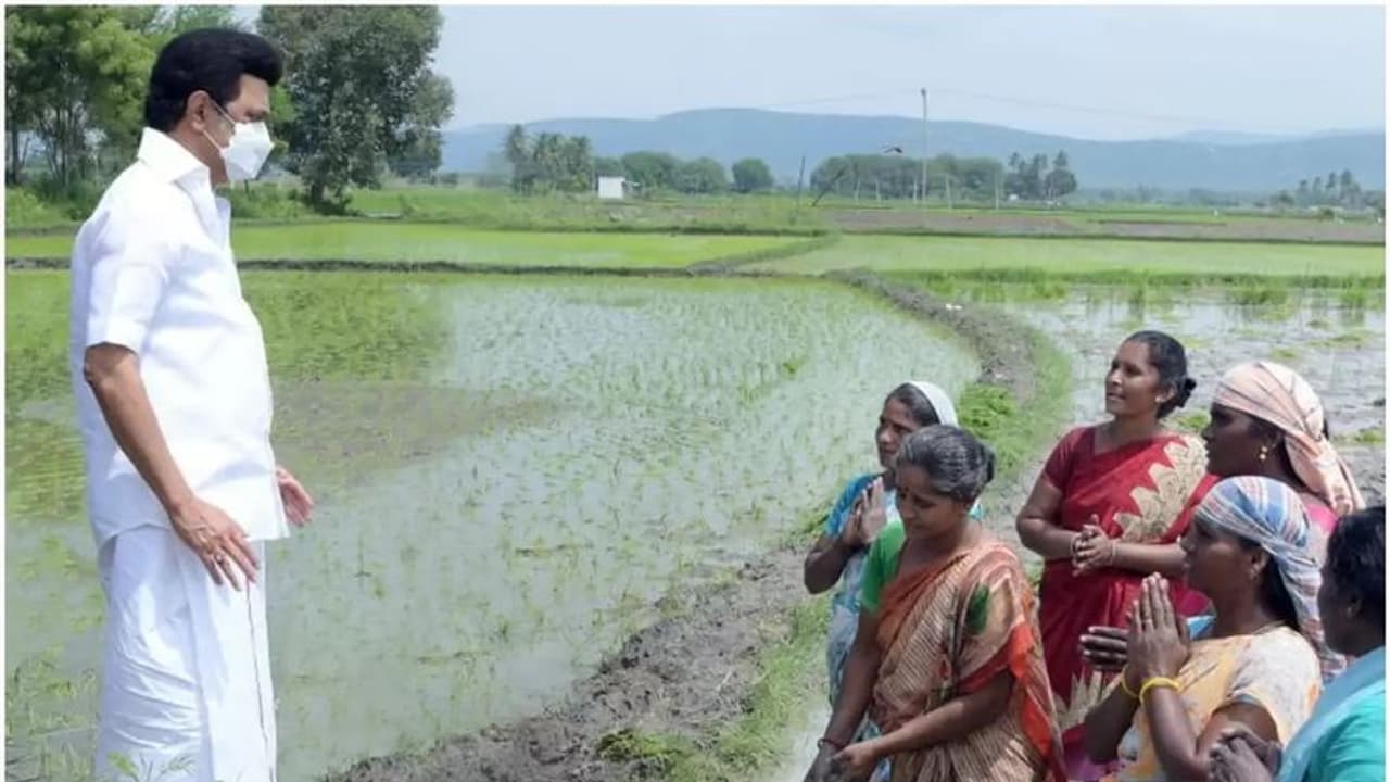 பொங்கல் பரிசு தொகுப்பில் முழு கரும்பு வழங்க முதல்வர் உத்தரவு