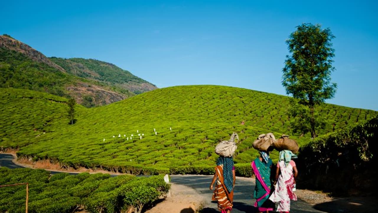 മൂന്നാര് മേഖലയിലെ നിര്മ്മാണ നിയന്ത്രണം: ആനവിലാസം വില്ലേജിലുള്ളവര്ക്ക് ഇനി എൻ.ഒ.സി ആവശ്യമില്ല മൂന്നാര് മേഖലയിലെ നിര്മ്മാണ നിയന്ത്രണം: ആനവിലാസം വില്ലേജിലുള്ളവര്ക്ക് ഇനി എൻ.ഒ.സി ആവശ്യമില്ല